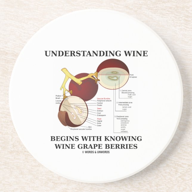 Understanding Wine Begins With Knowing Wine Grape Coaster (Front)
