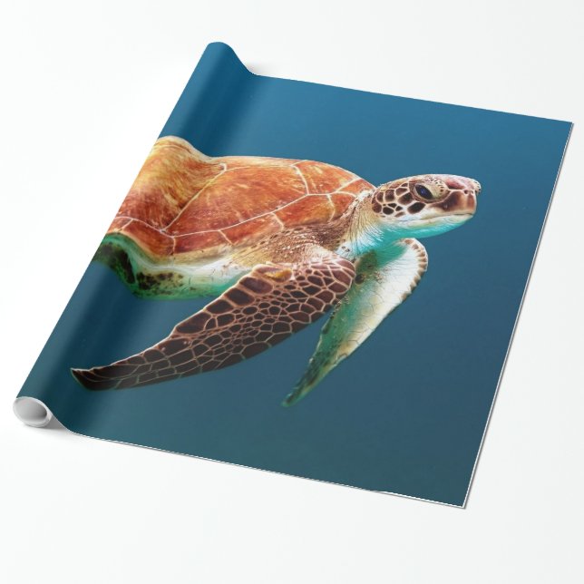 Underwater 24 Wrapping Paper (Unrolled)