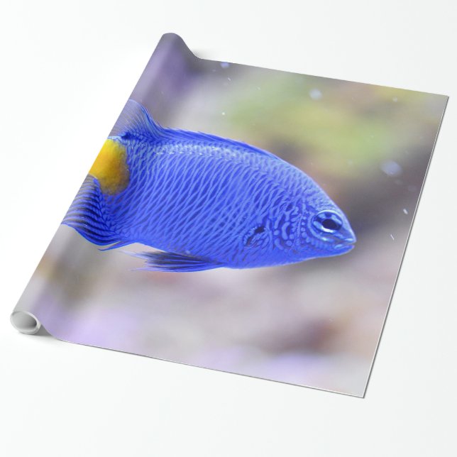 Underwater 26 Wrapping Paper (Unrolled)