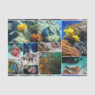 Underwater 36 tissue paper