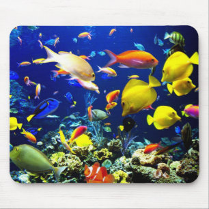 Underwater 5 mouse mat