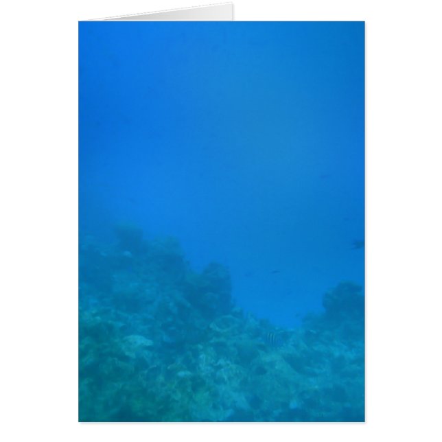 Underwater Background Scene (Front)