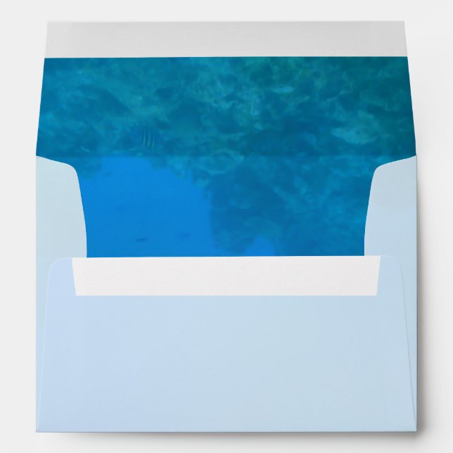 Underwater Background Scene Envelopes (Back (Bottom))