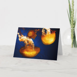 Underwater Ballet Card