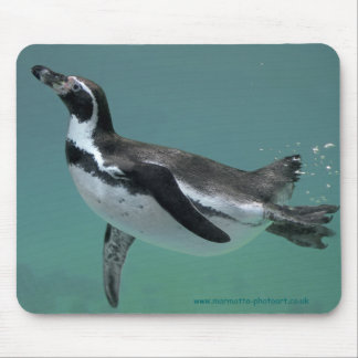 Underwater Ballet Mousemat