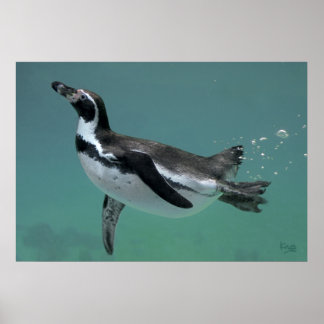 Underwater Ballet Print