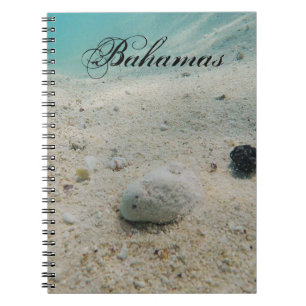 Underwater Beach Life Notebook