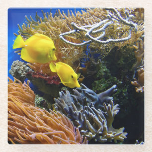 Underwater Beauty, Fish and Coral Glass Coaster