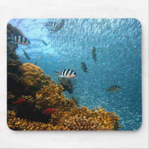 Underwater Beauty, Fish and Coral Mouse Mat