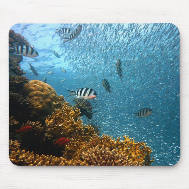 Underwater Beauty, Fish and Coral Mouse Mat (Front)