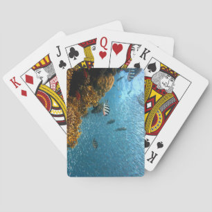 Underwater Beauty, Fish and Coral Playing Cards