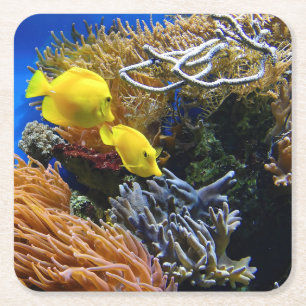 Underwater Beauty, Fish and Coral Square Paper Coaster