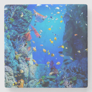 Underwater Beauty Stone Coaster