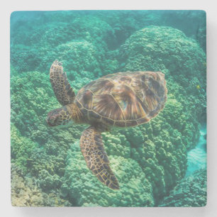 Underwater Beauty Stone Coaster