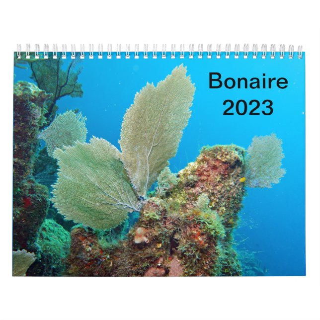 Underwater Calendar -- Roatan, Honduras (Cover)