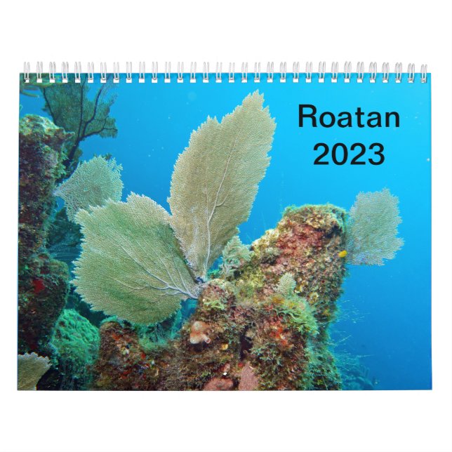 Underwater Calendar -- Roatan, Honduras (Cover)