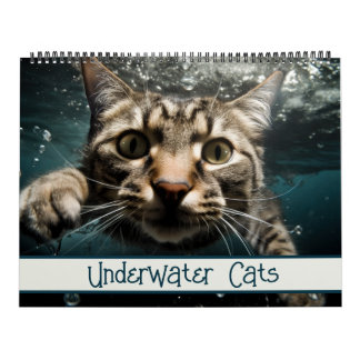 Underwater Cats Funny Photography Calendar