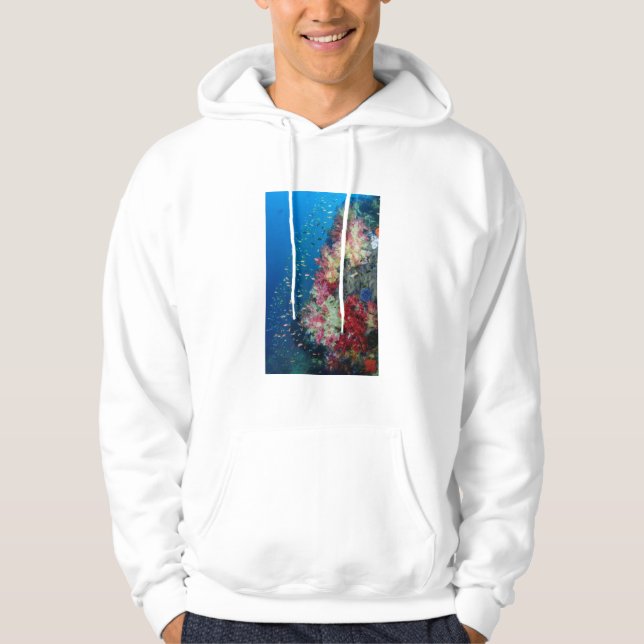 Underwater coral reef, Indonesia Hoodie (Front)