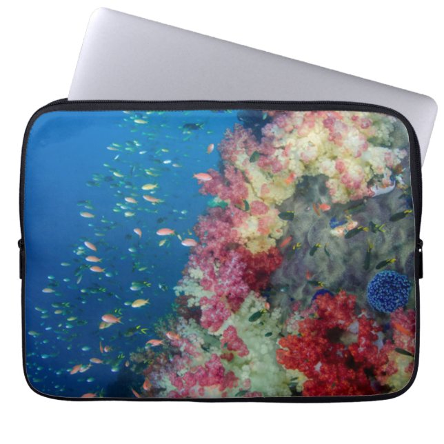 Underwater coral reef, Indonesia Laptop Sleeve (Front)