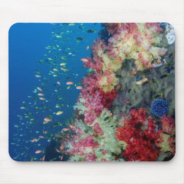 Underwater coral reef, Indonesia Mouse Mat (Front)
