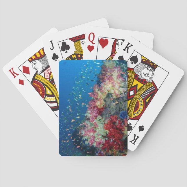 Underwater coral reef, Indonesia Playing Cards (Back)