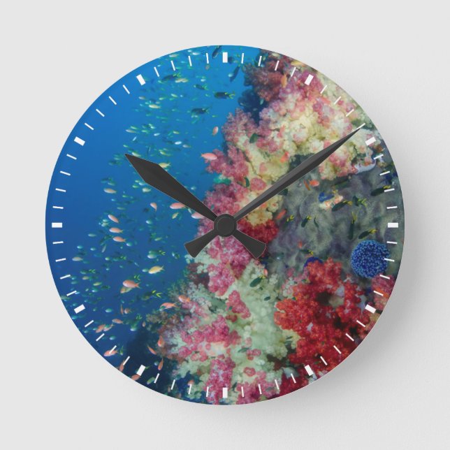 Underwater coral reef, Indonesia Round Clock (Front)