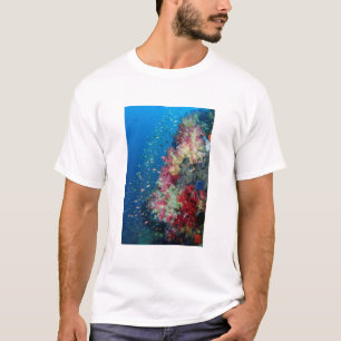 Underwater coral reef, Indonesia T-Shirt