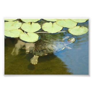 Underwater Exercise Photo Print