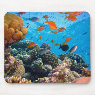 Underwater Fish and Coral Scene Mouse Mat
