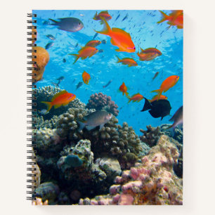 Underwater Fish and Coral Scene Notebook