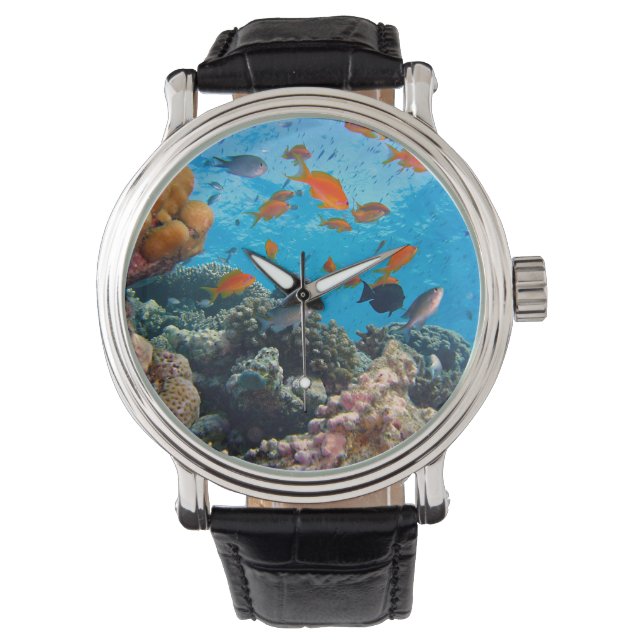 Underwater Fish and Coral Scene Watch (Front)