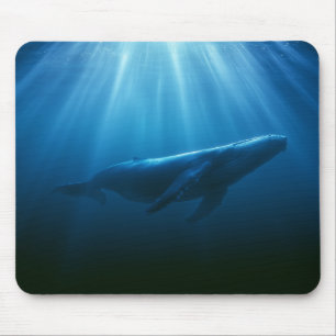 Underwater Humpback Whale Mouse Mat