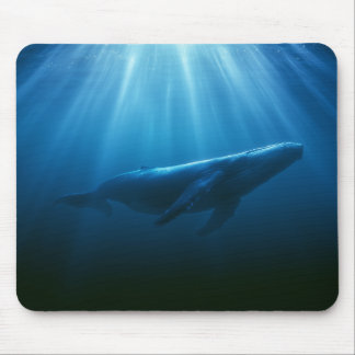 Underwater Humpback Whale Mouse Mat