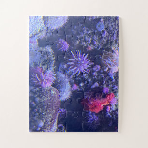 Underwater Jigsaw Puzzle