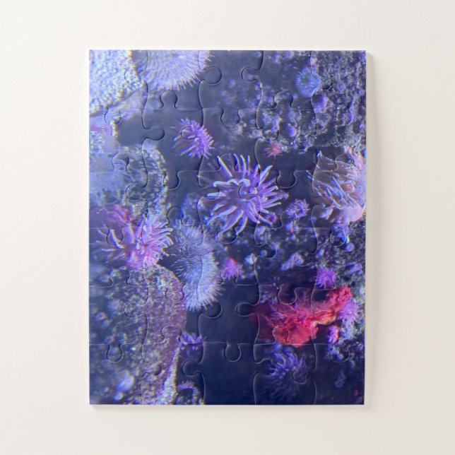 Underwater Jigsaw Puzzle (Vertical)