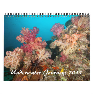 Underwater Journeys 2011 Calendar