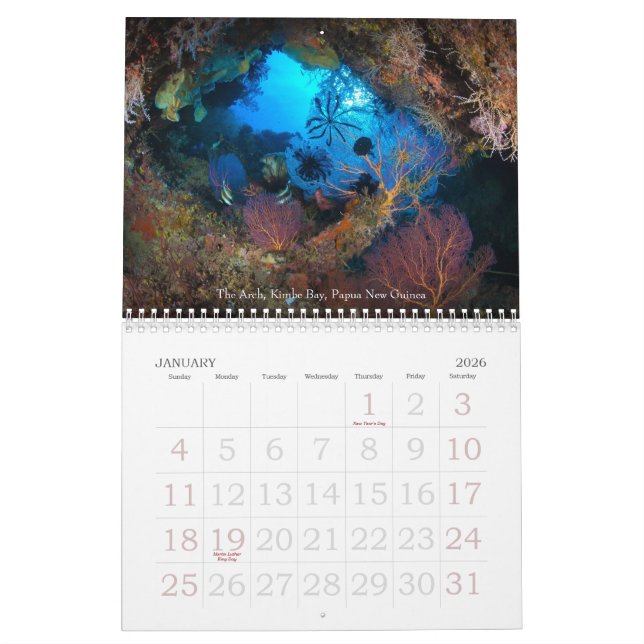 Underwater Journeys 2013 Marine Life Calendar (Jan 2026)