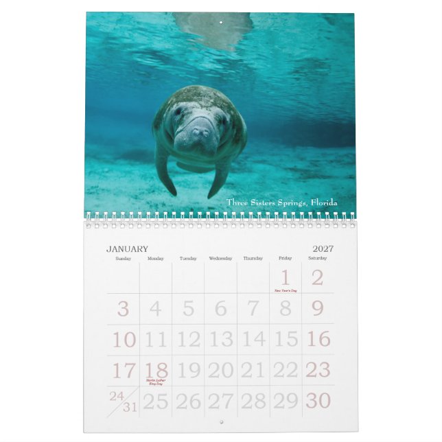 Underwater Journeys 2014 Calendar (Jan 2027)