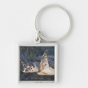 Underwater Life: A Hawksbill Sea Turtle 2 Key Ring