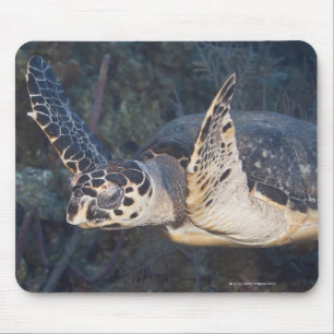 Underwater Life: A Hawksbill Sea Turtle 2 Mouse Mat