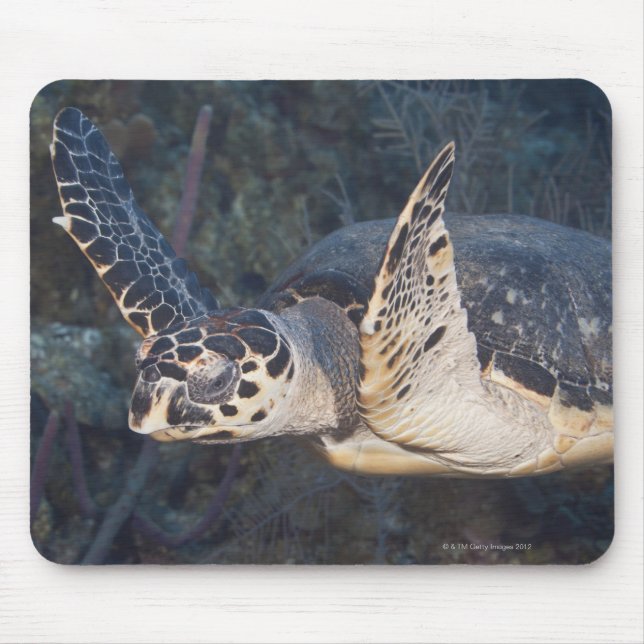 Underwater Life: A Hawksbill Sea Turtle 2 Mouse Mat (Front)