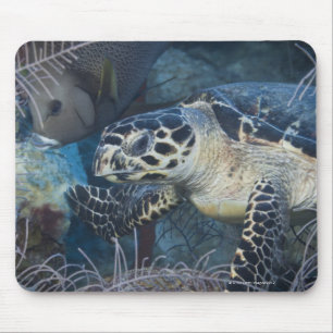 Underwater Life: A Hawksbill Sea Turtle Mouse Mat