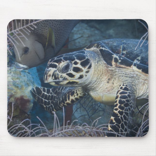 Underwater Life: A Hawksbill Sea Turtle Mouse Mat (Front)