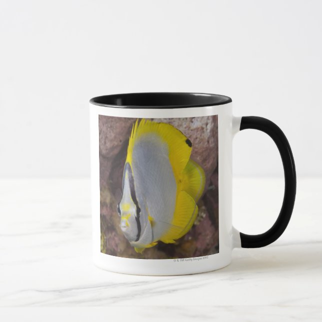 Underwater Life, FISH:  A colourful tropical Mug (Right)