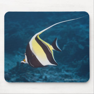 Underwater life;FISH: A Moorish Idol (Zanclus Mouse Mat
