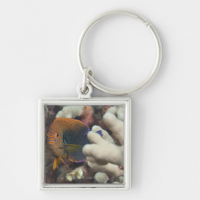 Underwater life; FISH: A portrait of a Potter's Key Ring (Front)