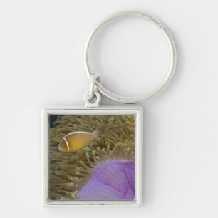 Underwater LIfe; FISH: Clownfish (Pink Key Ring