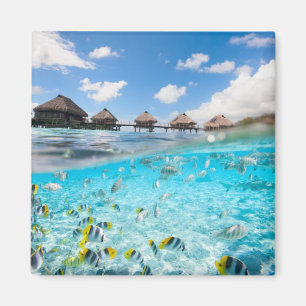 Underwater life magnet