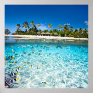 Underwater life poster