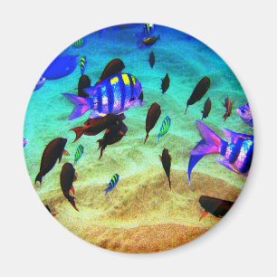 underwater magnet